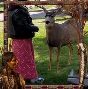 Meet your Posher, Salli